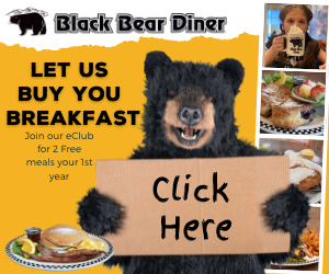 Black Bear